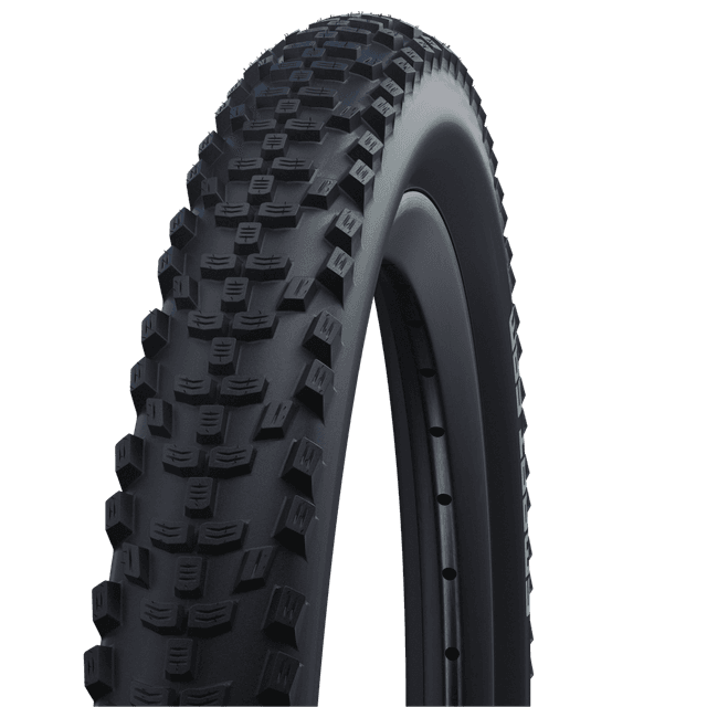 Schwalbe Smart Sam ADDIX Perf.